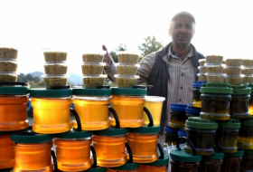 Грузинский мед готовится к экспорту в Китай