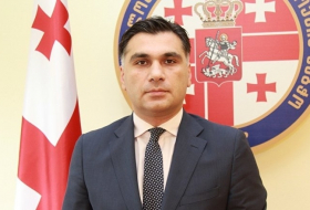 Бодзашвили: Грузия не должна принимать российскую делегацию