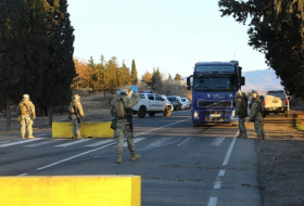 Строгий карантин: въезды и выезды в Марнеули и Болниси контролирует армия и полиция