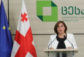 ЦИК Грузии призвал пригласить на выборы как можно больше международных наблюдателей
