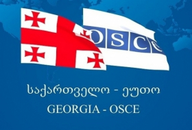 Norway's permanent representative to the OSCE: Georgia needs a functioning Parliament