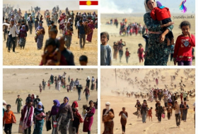 The Belgian Parliament recognized the genocide of the Yazidis