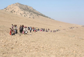 Since 2014, the Yezidi population of Shangal has decreased by two-thirds