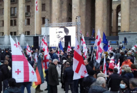На сегодня в Тбилиси оппозиция анонсировала проведение трех акций протеста