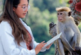 Вспышка оспы обезьян в мире: о чем предупреждают грузинские инфекционисты?