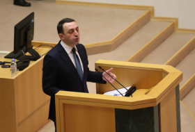 В Грузии не зарегистрировано ни одного случая обхода санкций против России — Гарибашвили