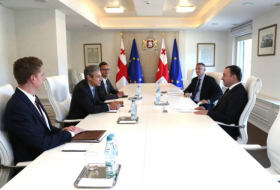 Ираклий Гарибашвили встретился с президентом Национального фонда демократии