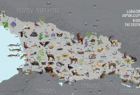 National Geographic создал интерактивную карту биоразнообразия Грузии