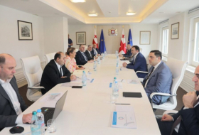 Ираклий Гарибашвили провел заседание Экономического совета 