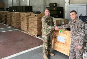 США передали Силам обороны Грузии 26 тонн оборудования для укрепления обороноспособности