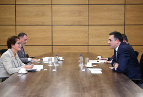 Дарчиашвили провел встречу с сопредседателями Женевских международных переговоров от ООН и ОБСЕ