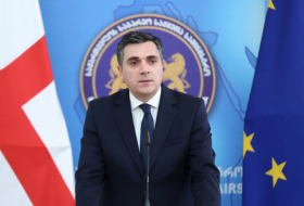 Илья Дарчиашвили - Визит министра иностранных дел Чехии является ярким доказательством прекрасных отношений между двумя странами