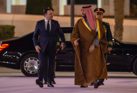 Премьер Грузии обсудил в Саудовской Аравии возможности сотрудничества
