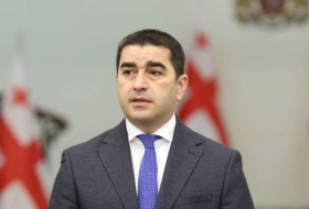 Шалва Папуашвили - Действительно, Вано Мерабишвили отбыл срок наказания перед законом, но совершенные им преступления не дают ему морального права заниматься активной политикой