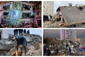 По данным СМИ, число погибших в результате землетрясения в Турции и Сирии увеличилось до 641 человека