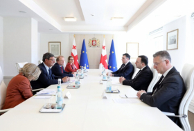 Ираклий Гарибашвили встретился с содокладчиками Мониторингового комитета Парламентской ассамблеи Совета Европы