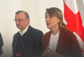“Деканоидзе + Гоциридзе” – бывшие депутаты от ЕНД создают новую политическую группу