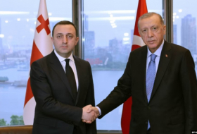 Премьер Грузии поздравил Эрдогана с успешным первым туром и пожелал удачи во втором