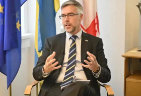 Швеция всегда поддерживала европейскую интеграцию Грузии - посол