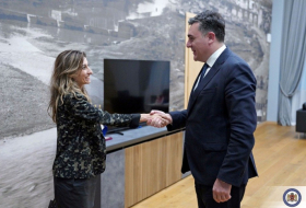 Илья Дарчиашвили встретился с новым послом Королевства Нидерландов в Грузии
