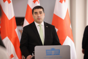 Выборы должны установить правильные политические приоритеты в Грузии – Папуашвили