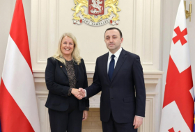 Ираклий Гарибашвили встретился с председателем Федерального совета Австрийской Республики