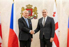 Джуаншер Бурчуладзе встретился с новым послом Чехии