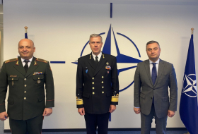 Военный комитет НАТО посещает Грузию