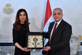 Надия Мурад провела встречу с министром иностранных дел Ирака