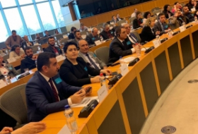 Parlamentoya Awropayê: Delegasyona FNDK tevî konferansa derheqa kurdên êzdî da bû