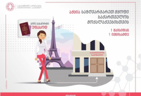 Georgian citizens living abroad to receive passports free of charge in May
