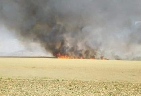 Crops burn in the south of the Shangala district