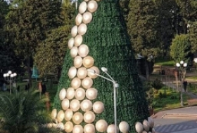 Главную новогоднюю елку Батуми украсят зонтиками