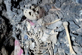 Тела убитых езидов находят районах провинции Ниневия