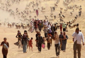 The Yazidi community has proven its viability through changes in its religious social structure
