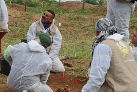 Идентификация останков 38 езидов в деревне Коджо