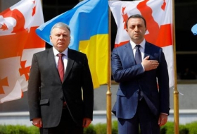Украина и Грузия подписали программу сотрудничества между министерствами обороны стран