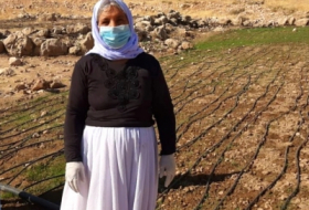The Nadias initiative continues to help Yazidi women in the field of agriculture
