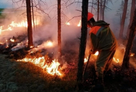 In Georgia, 4 out of 9 foci of forest and field fires have been eliminated 