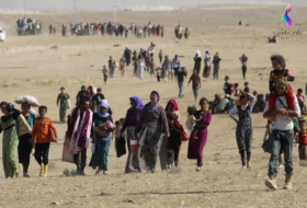 Obstacles to the return of the missing yazidis