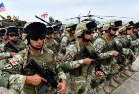 Грузинские военные завершили участие в многонациональных учениях «Троянский след»