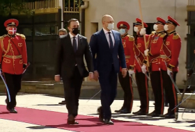 Официальная церемония встречи премьер-министра Украины состоялась в Тбилиси