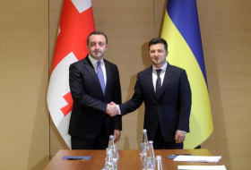 Zelensky thanked the Prime Minister of Georgia for participating in the Crimean Platform summit