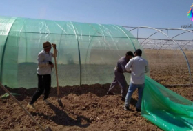 The project to install greenhouses and irrigation systems in the Sinjar district is being completed