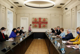 Президент Грузии обсудила с Миссией наблюдателей Европарламента ситуацию в предвыборный период