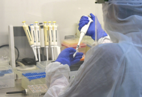 Коронвирус в Грузии: выявлено 6 024 новых случаев инфицирования, выздоровели 3 818 человек