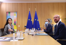 Надия Мурад встретилась с Президентом Европейского Совета Шарлем Мишелем