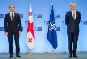 Гарибашвили заявил, что Грузия готова ко вступлению в НАТО – Столтенберг ответил решение вопроса отодвинуто на неопределенное время