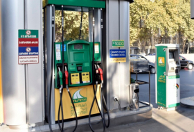 Georgia may introduce borders for fuel prices