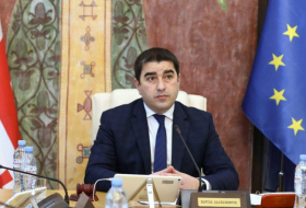 Спикер парламента Грузии не ожидает смены власти